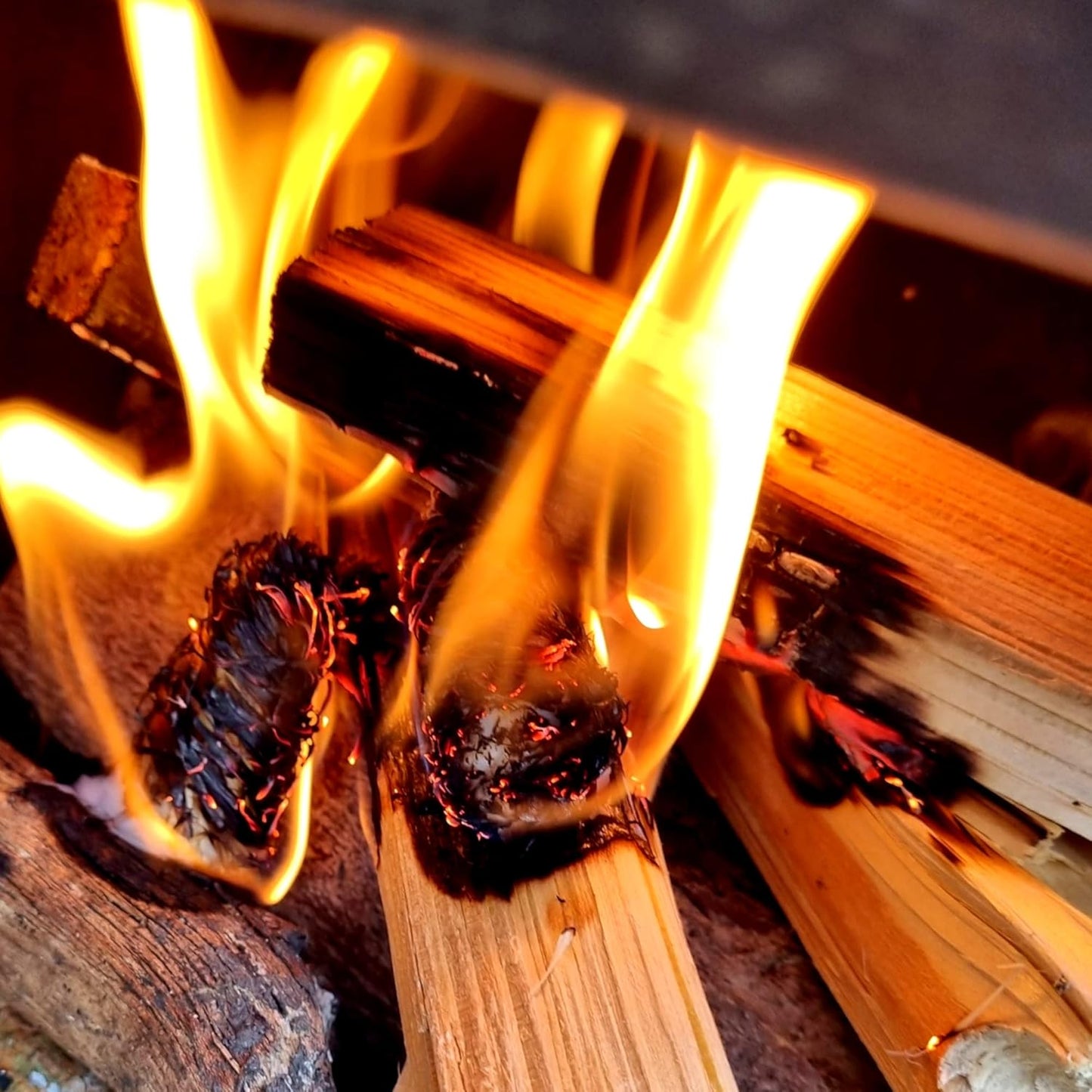 Ecoblaze Kiln Dried Kindling Wood Bag - 4.2 KG